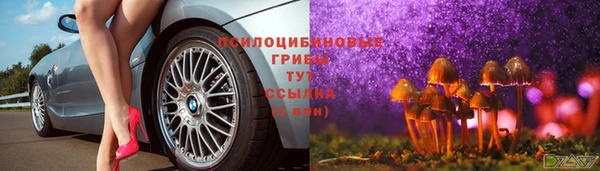 герыч Алексин