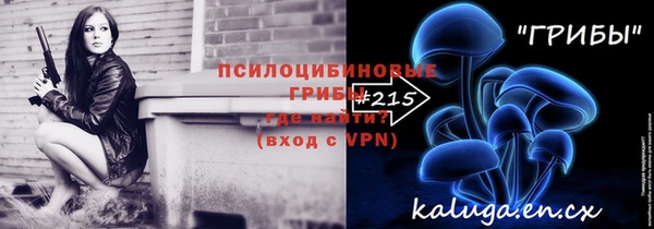 герыч Алексин