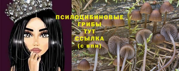 меф Алзамай