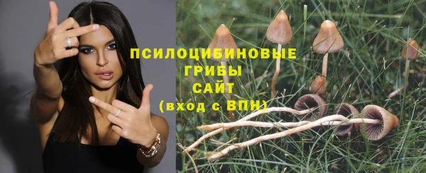 спайс Алексеевка